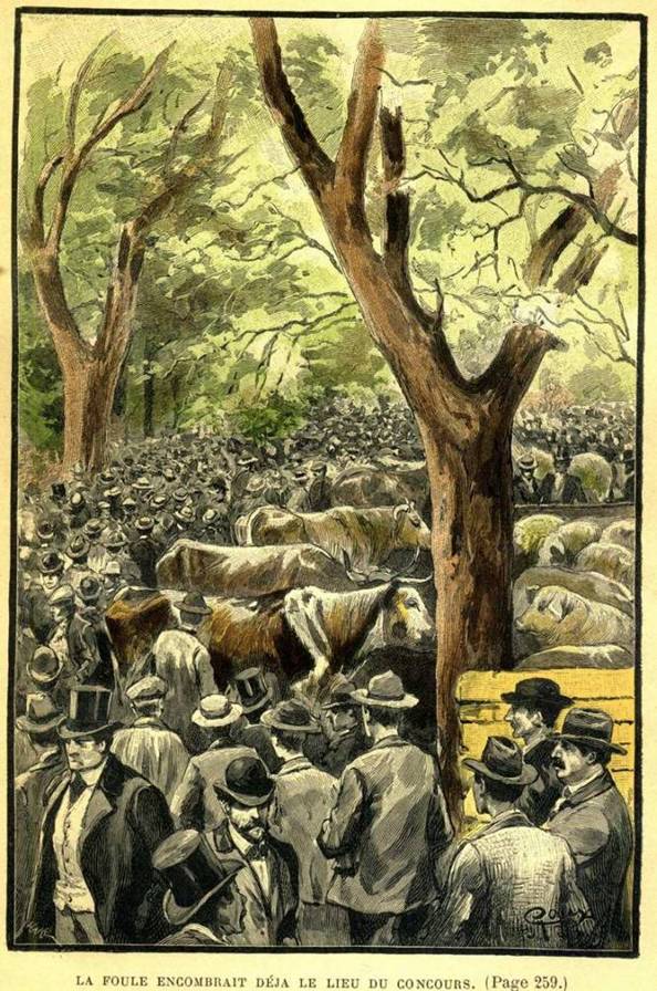 verne_testament_excentrique_07